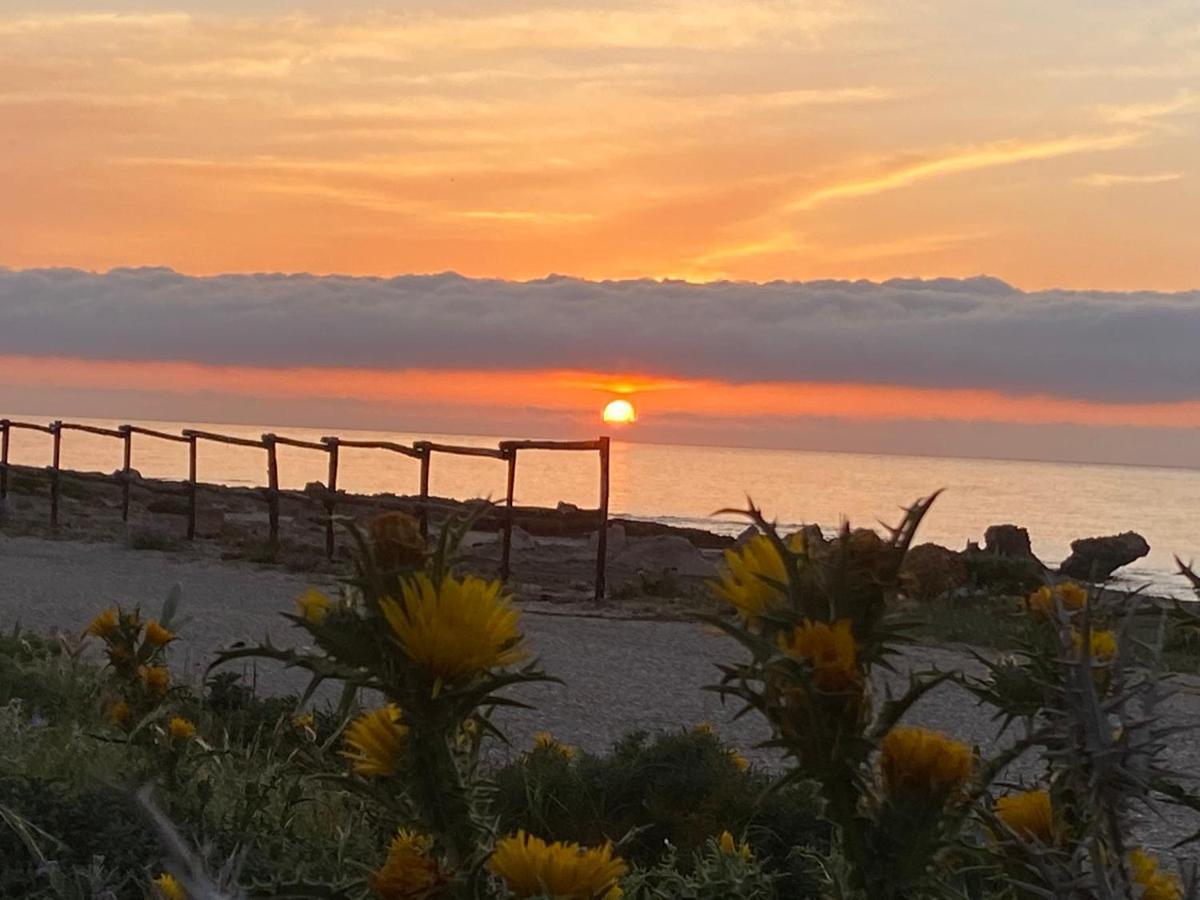 Cala Di Ponente Ξενοδοχείο Castelluzzo Εξωτερικό φωτογραφία